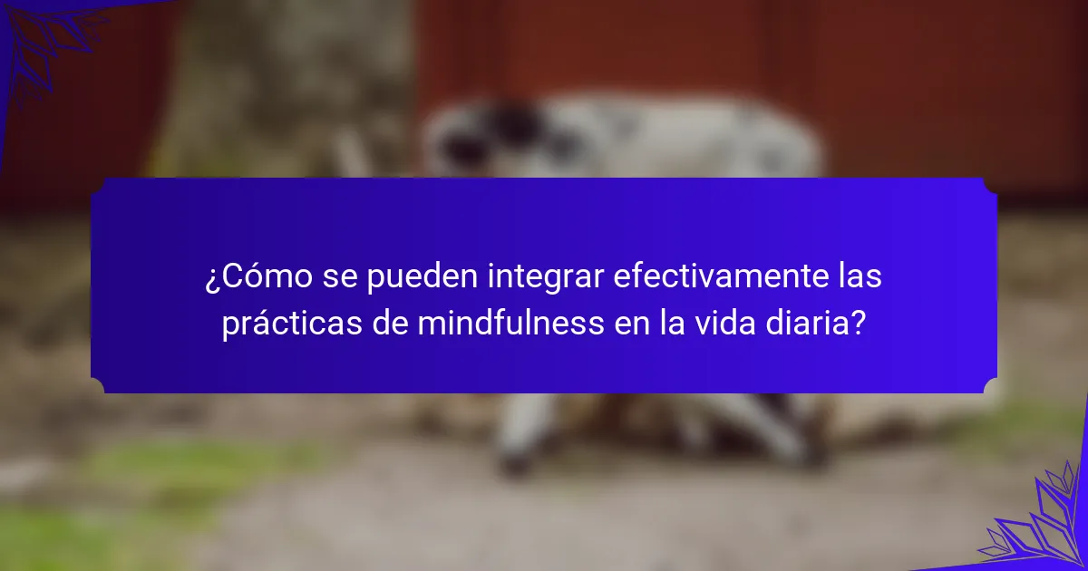 ¿Cómo se pueden integrar efectivamente las prácticas de mindfulness en la vida diaria?