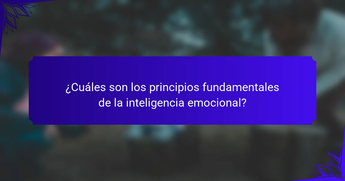 ¿Cuáles son los principios fundamentales de la inteligencia emocional?