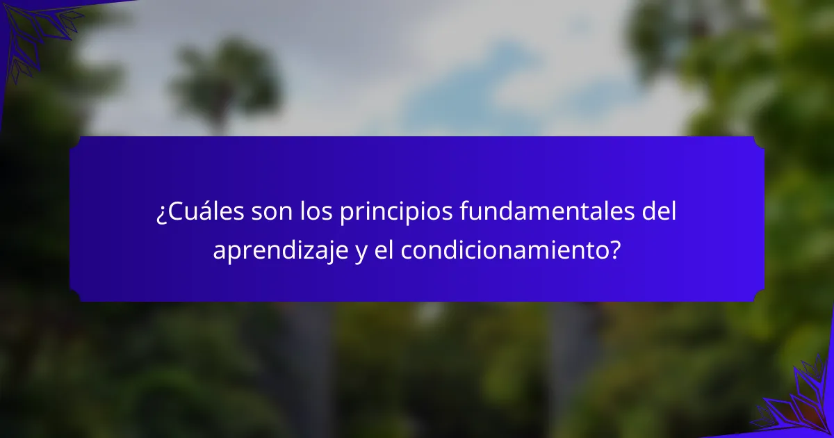 ¿Cuáles son los principios fundamentales del aprendizaje y el condicionamiento?