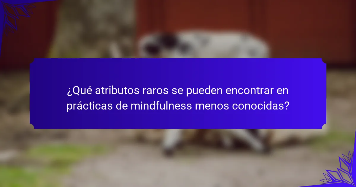 ¿Qué atributos raros se pueden encontrar en prácticas de mindfulness menos conocidas?