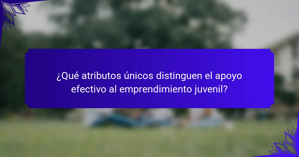¿Qué atributos únicos distinguen el apoyo efectivo al emprendimiento juvenil?