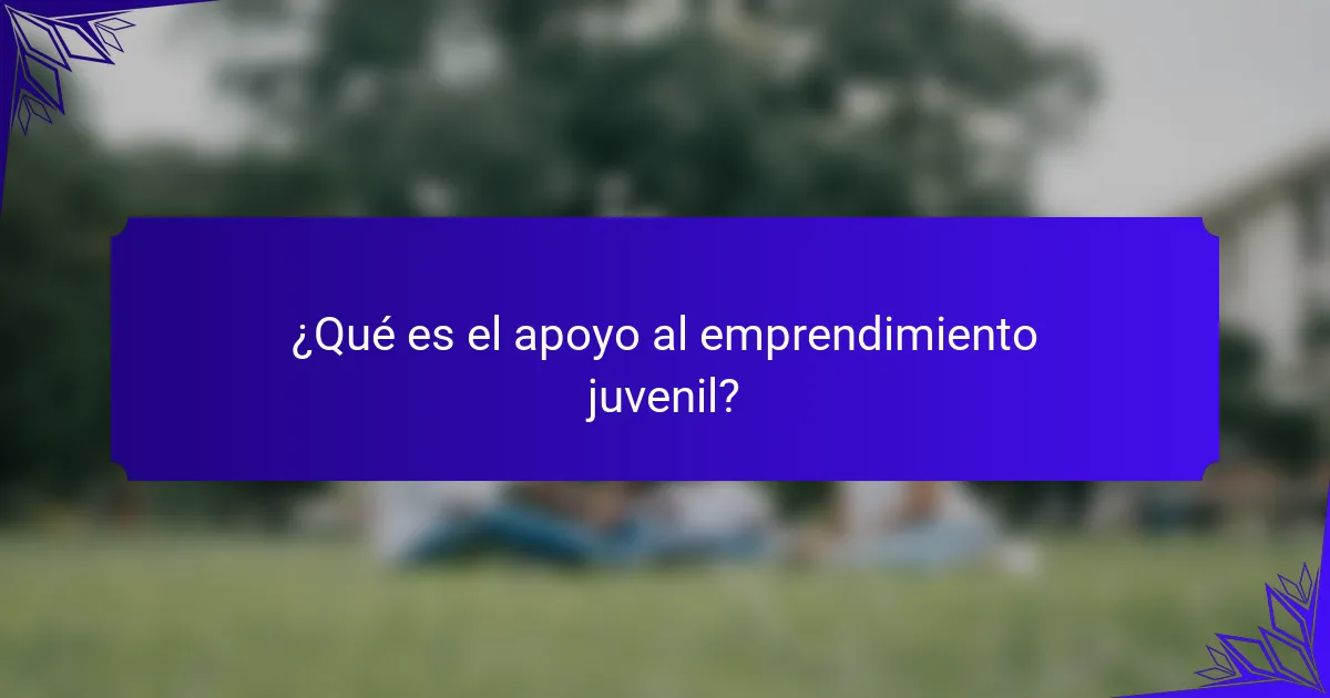 ¿Qué es el apoyo al emprendimiento juvenil?